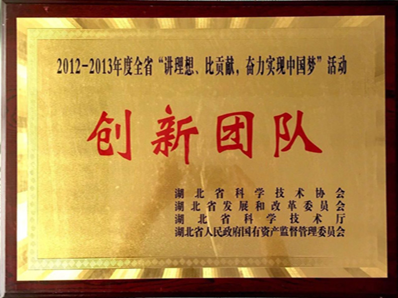 湖北省2012-2013年度“講理想，比貢獻(xiàn)”創(chuàng)新團(tuán)隊(duì).jpg